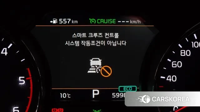 Kia The New Carnival 2018 Белый из Кореи, фото 5