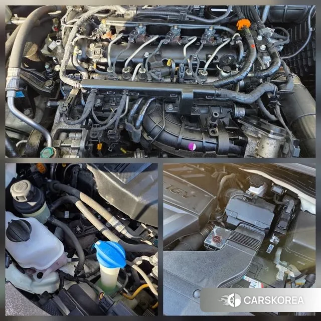 Kia The New Carnival 2019 Белый из Кореи, фото 5