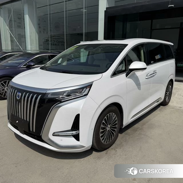 Denza D9 EV 2026 Белый из Китая, фото 5