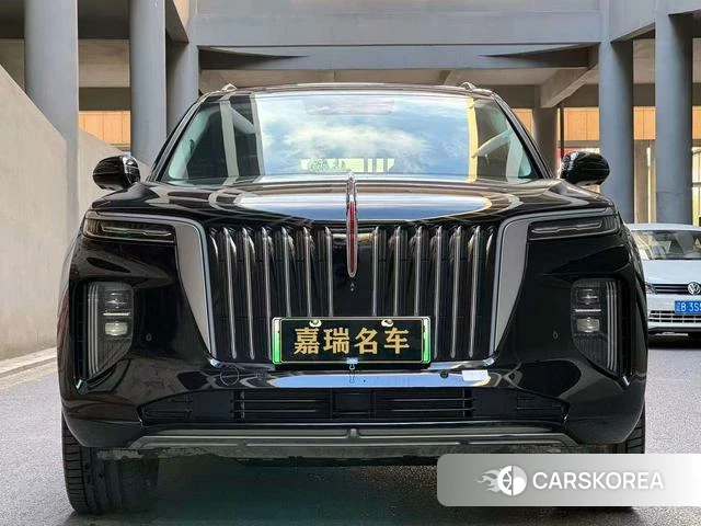 Red flag E-HS9 2023 Черный из Китая, фото 5