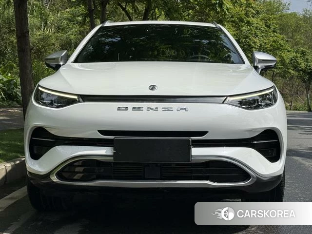 Denza X PHEV 2020 Белый из Китая, фото 5