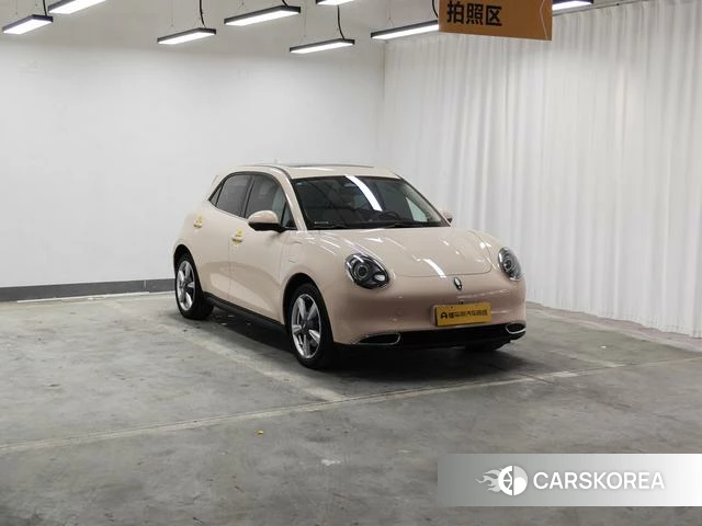 Euler Good cat 2022 Другой из Китая, фото 5