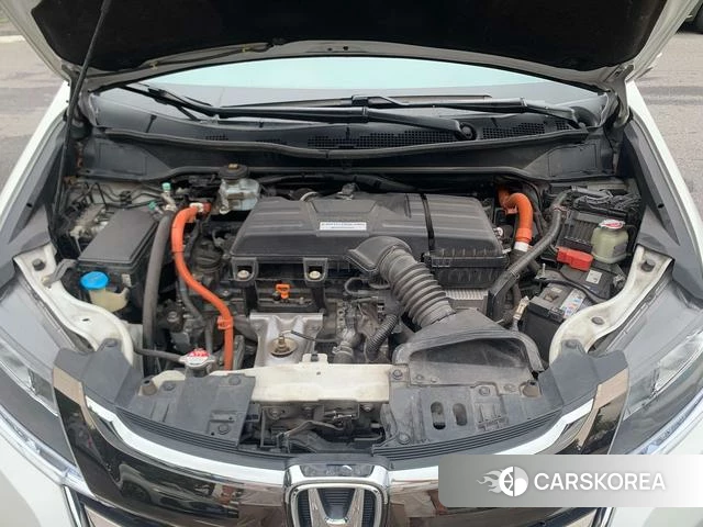 Honda Odyssey 2021 Белый из Китая, фото 5