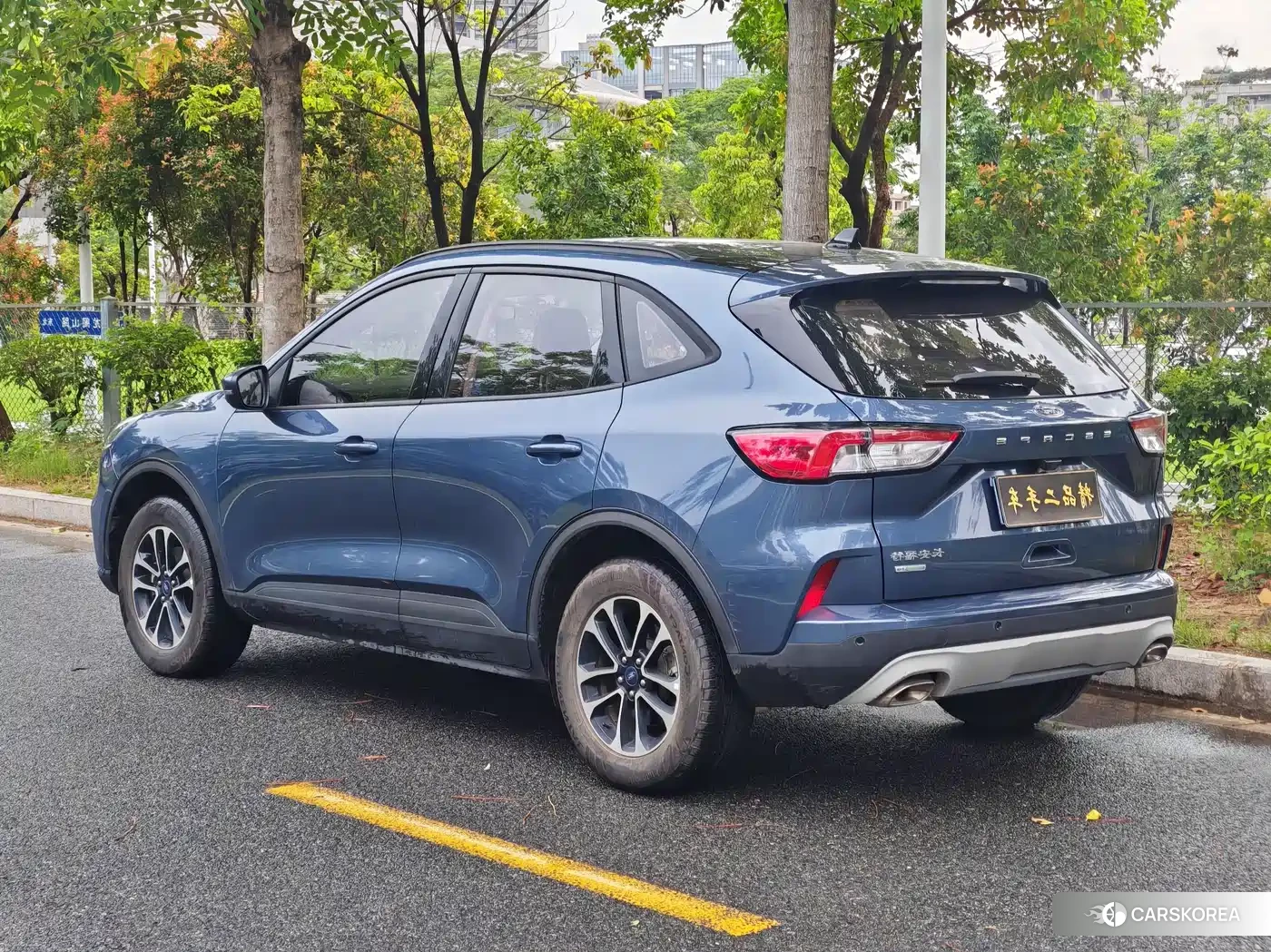 Ford Ruiji 2021 Синий из Китая, фото 5