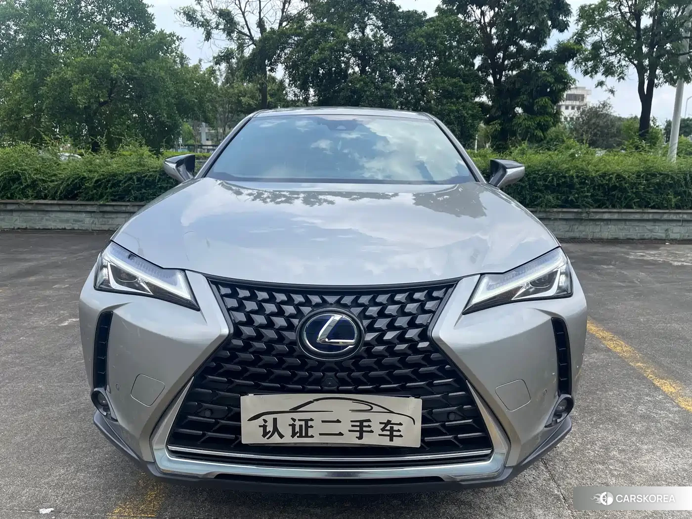 Lexus UX 2022 Silver/gray из Китая, фото 6