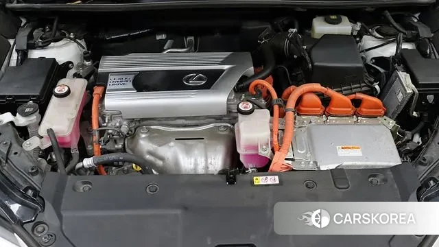 Lexus NX300h 2020 Белый из Кореи, фото 5