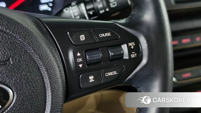 Kia The New Carnival 2018 Белый из Кореи, фото 5