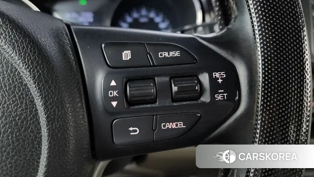 Kia The New Carnival 2018 Белый из Кореи, фото 5