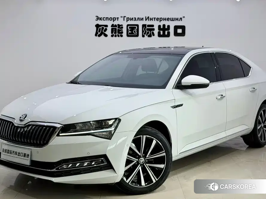 Skoda Speed pie 2023 Белый из Китая, фото 5