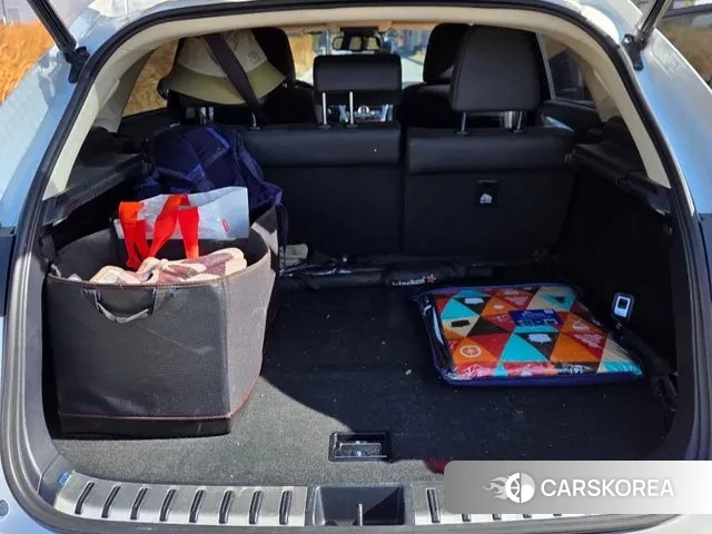 Lexus NX300h 2019 Белый из Кореи, фото 5