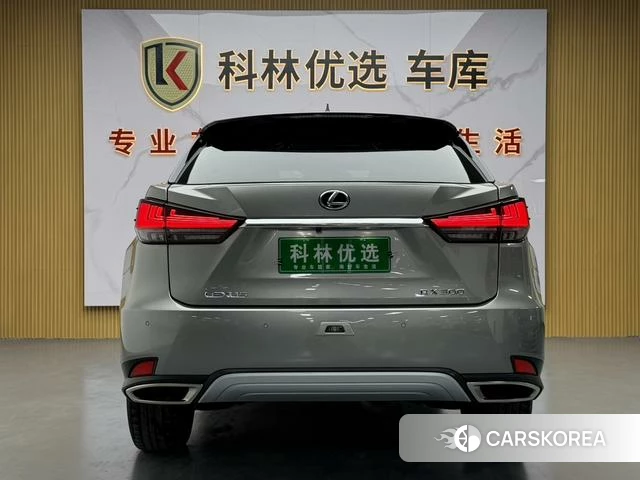 Lexus RX 2021 Шампань из Китая, фото 5