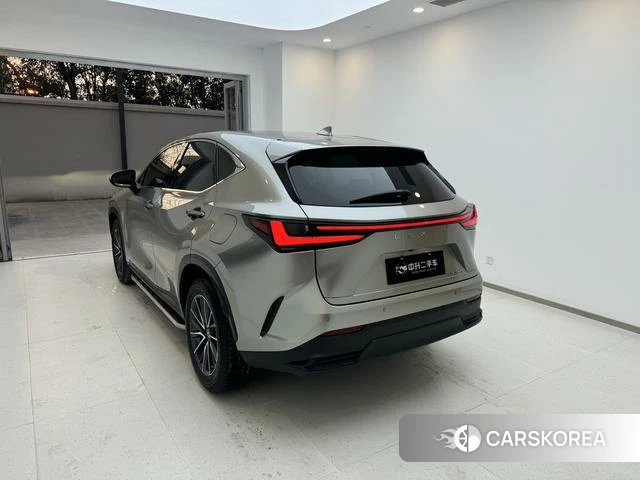 Lexus NX 2022 Шампань из Китая, фото 5