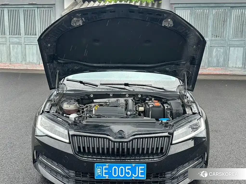 Skoda Speed pie 2023 Черный из Китая, фото 5