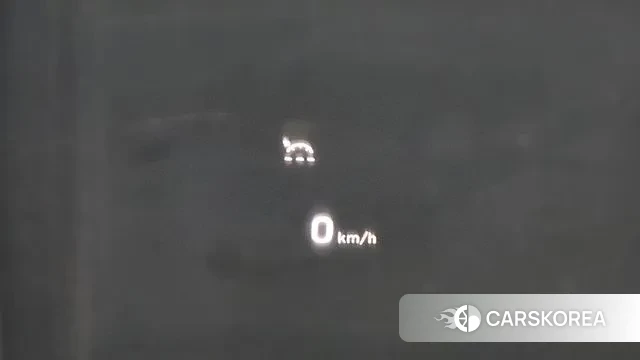 Hyundai Palisade 2020 Белый из Кореи, фото 5