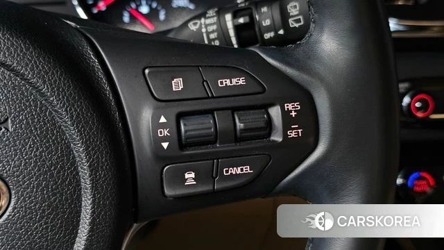Kia The New Carnival 2019 Белый из Кореи, фото 5