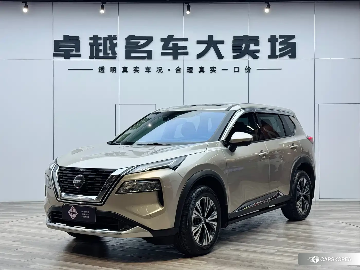 Nissan X-Trail 2021 Champagne/brown из Китая, фото 5