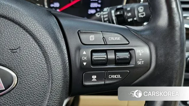 Kia The New Carnival 2018 Белый из Кореи, фото 5