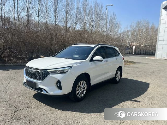 Haval M6 2023 Белый из Китая, фото 5