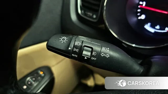 Kia The New Carnival 2019 Белый из Кореи, фото 5