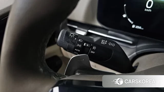 Kia Carnival 4th generation 2020 Белый из Кореи, фото 5