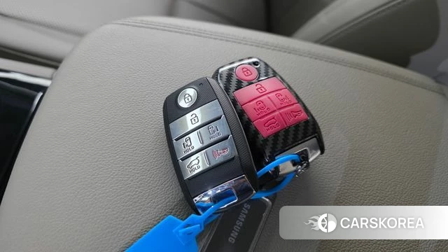 Kia The New Carnival 2018 Белый из Кореи, фото 5