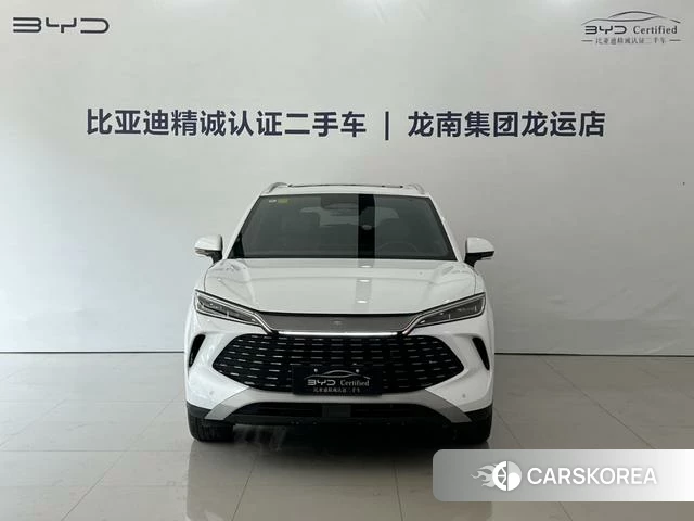 BYD Song L DM 2025 Белый из Китая, фото 6