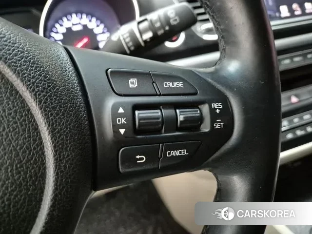 Kia The New Carnival 2018 Белый из Кореи, фото 6