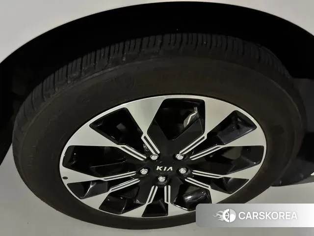 Kia Carnival 4th generation 2021 Жемчужный цвет из Кореи, фото 6