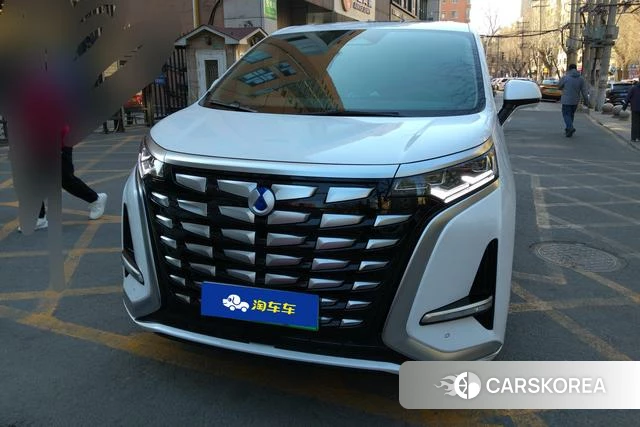 Denza D9 DM 2023 Белый из Китая, фото 6