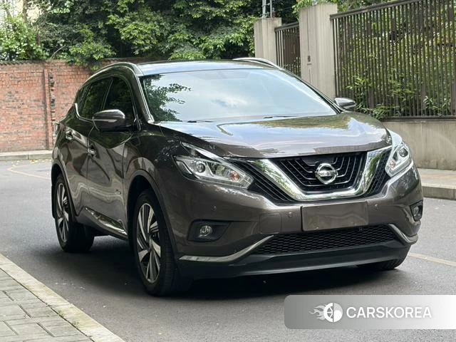 Nissan Loulan 2018 Шампань из Китая, фото 6