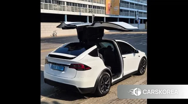 Tesla Model X 2023 Белый из Кореи, фото 6