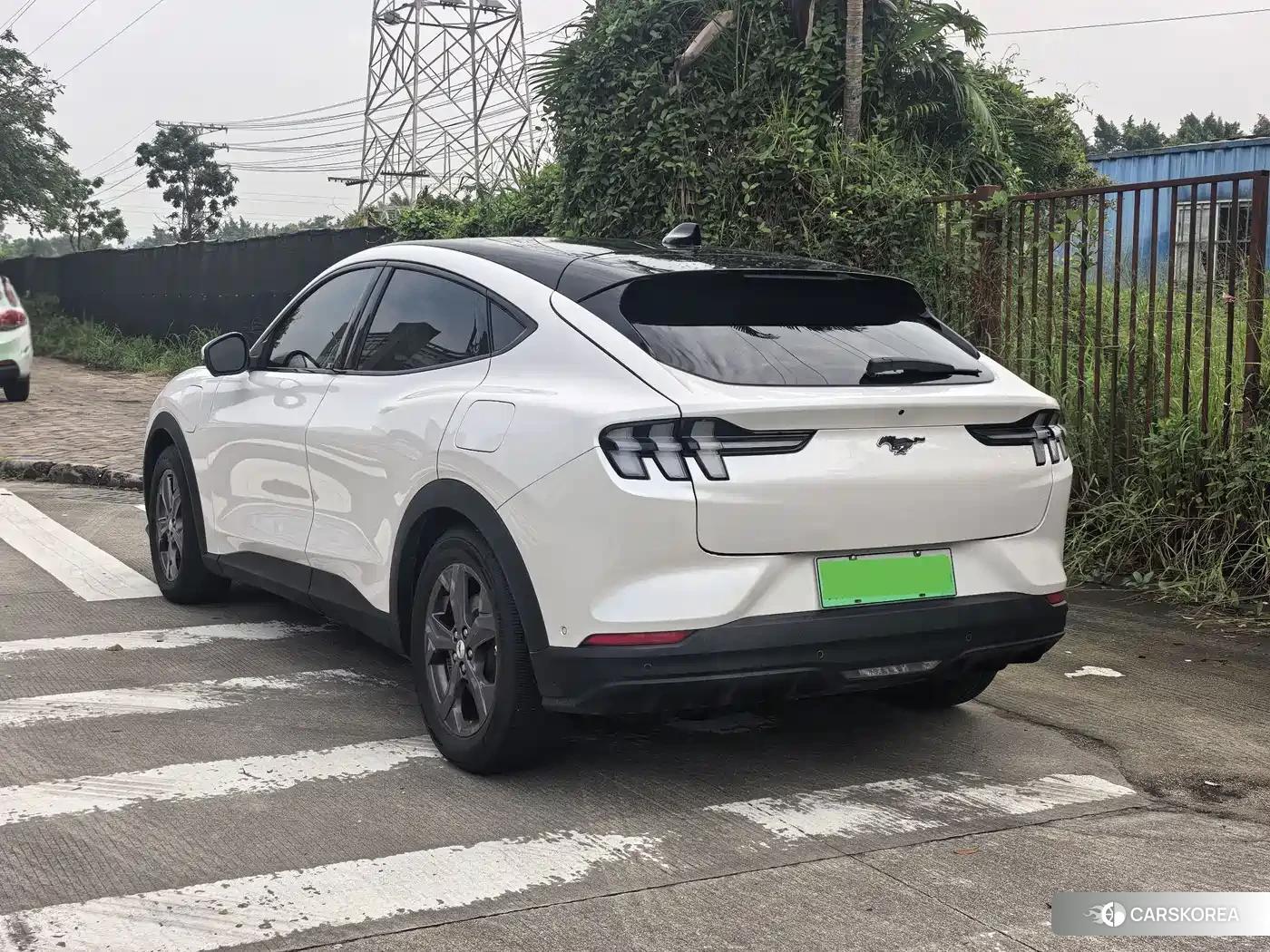 Ford Electric horse 2023 Белый из Китая, фото 6
