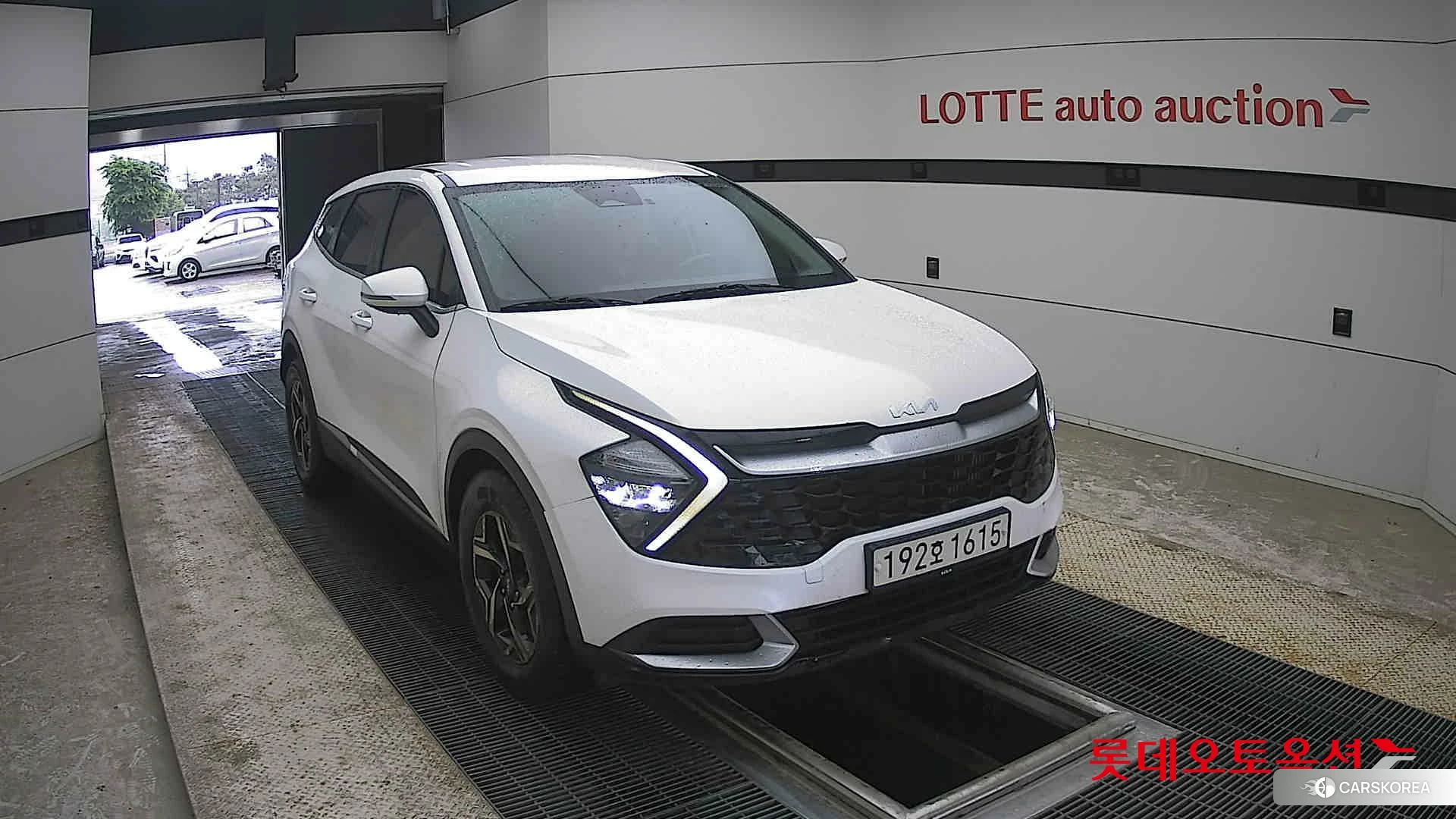 Kia Sportage 2022 Snow White Pearl (optional) из Кореи, фото 6