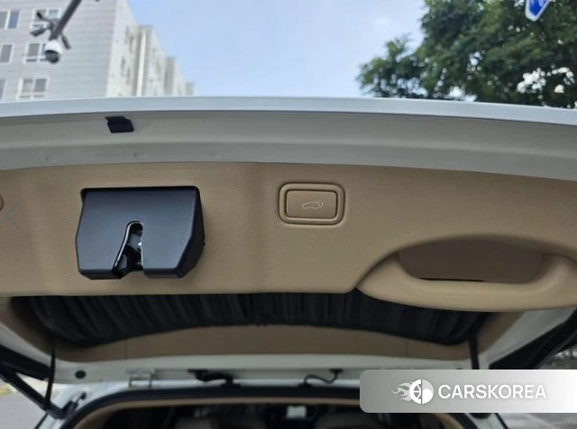 Kia The New Carnival 2019 Белый из Кореи, фото 6