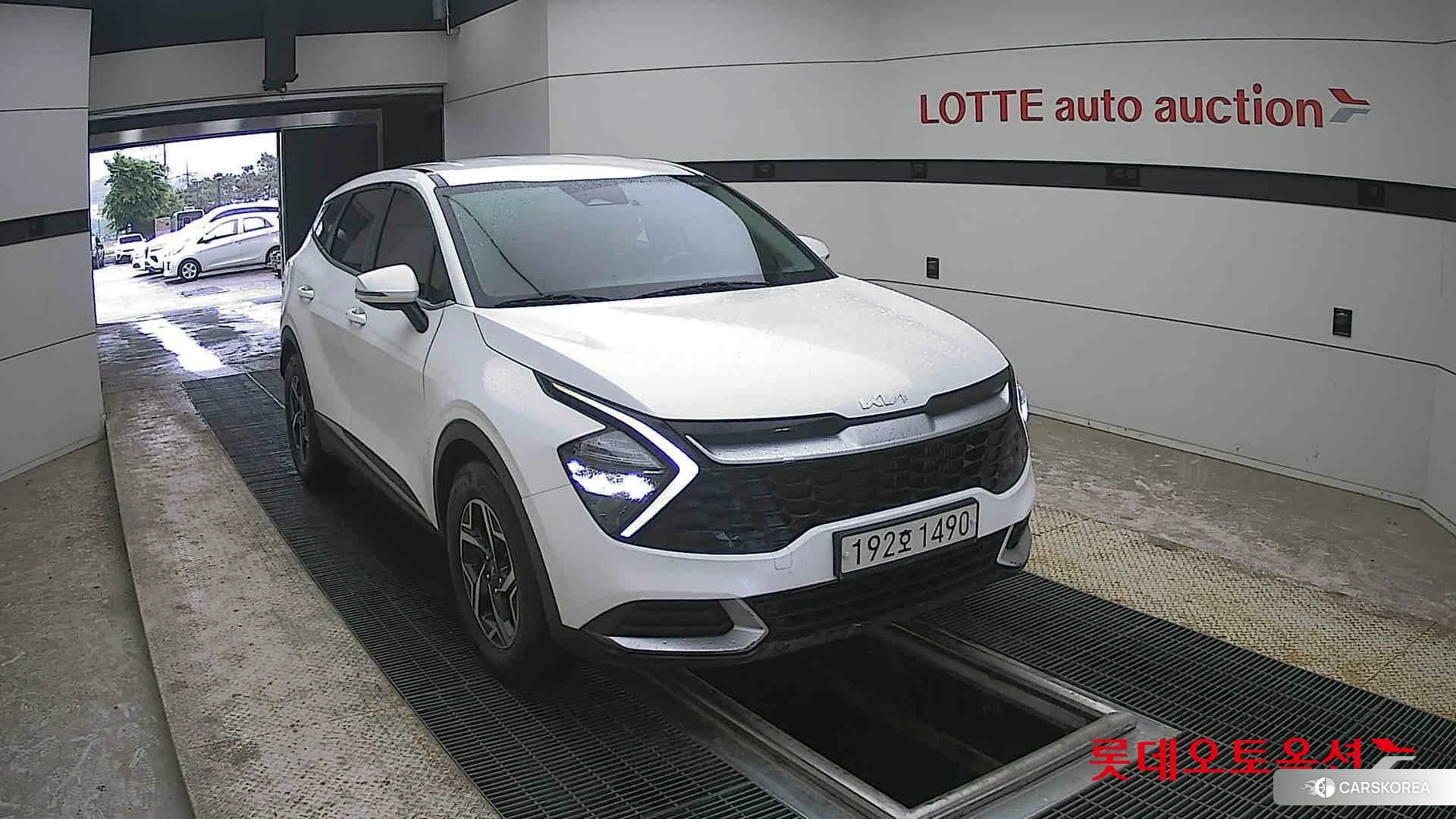 Kia Sportage 2022 Snow White Pearl (optional) из Кореи, фото 6