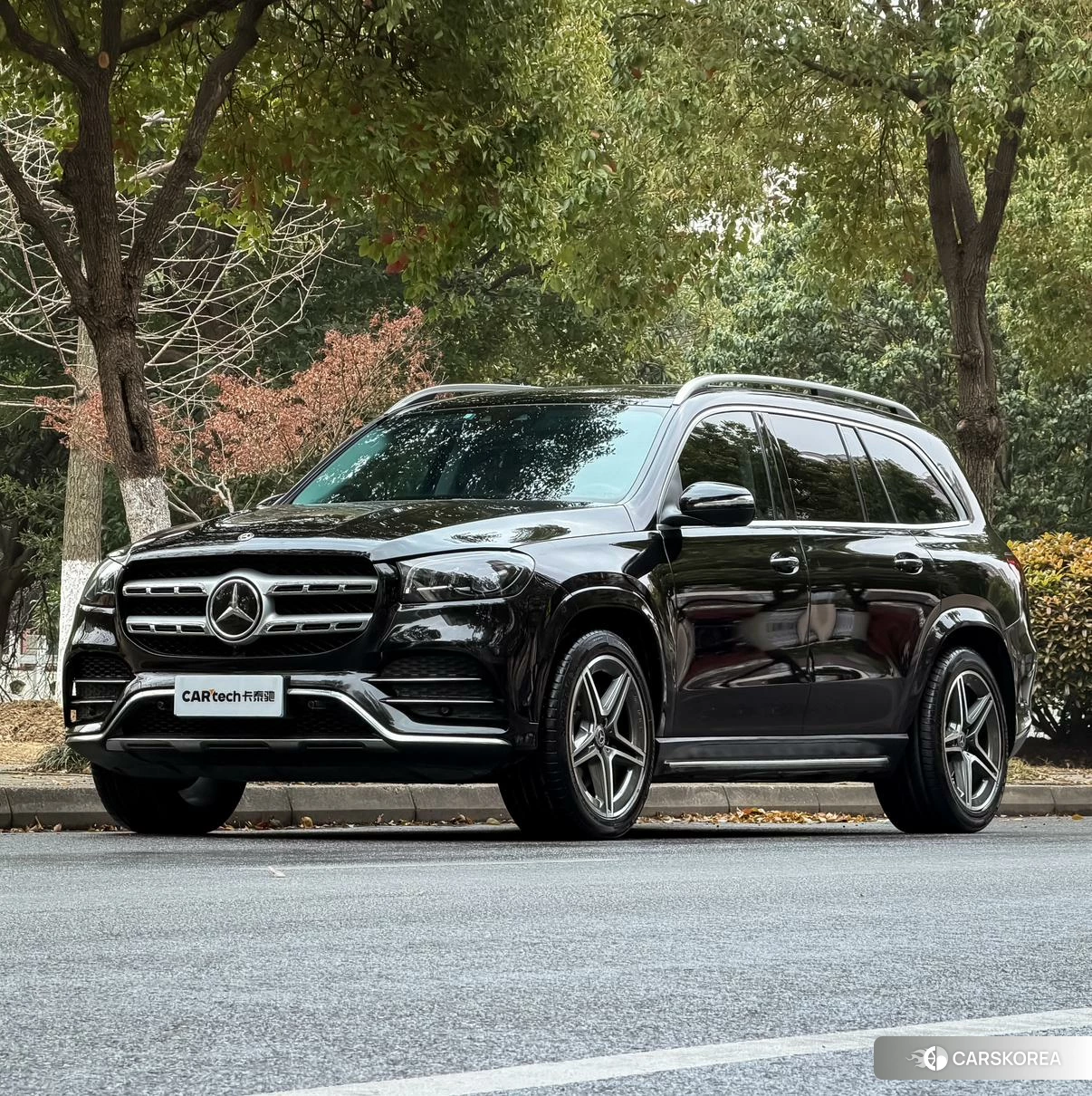 Mercedes-Benz GLS 2021 Черный из Китая, фото 6