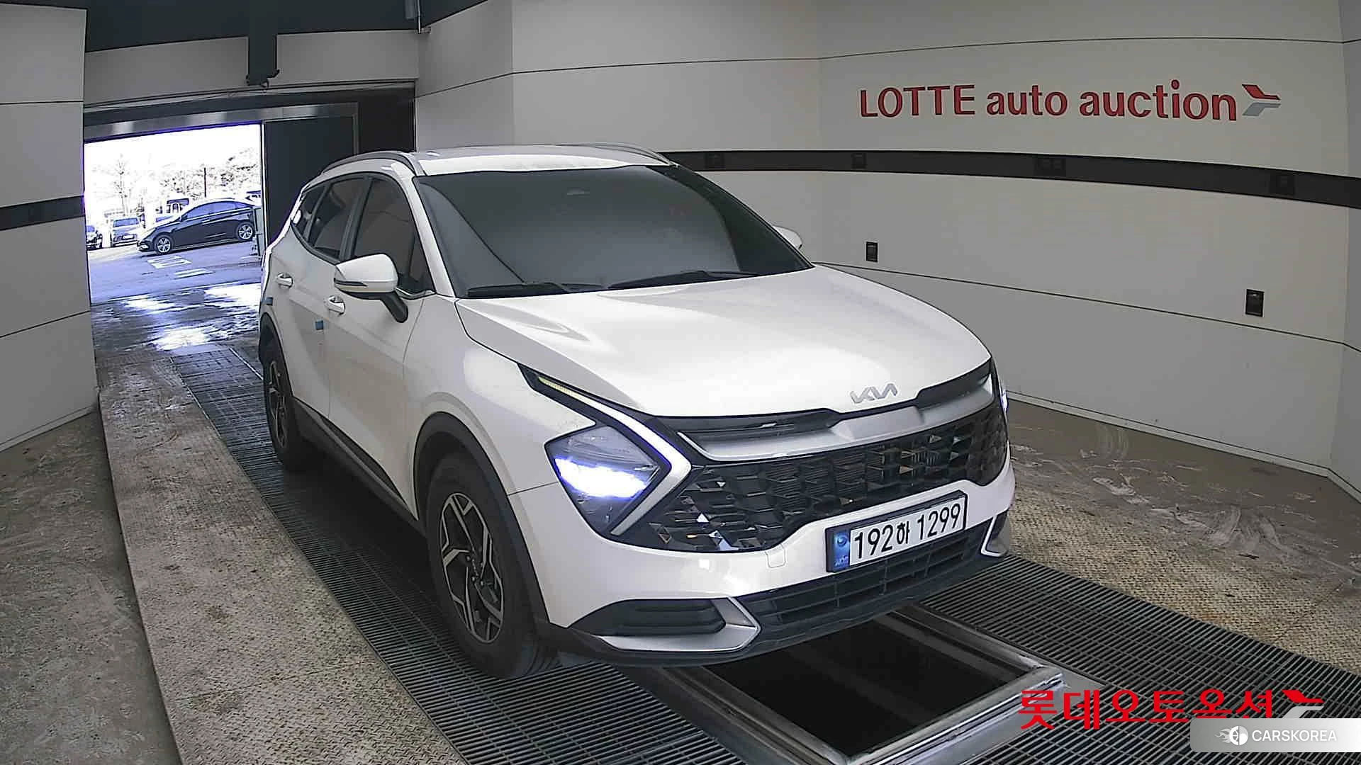 Kia Sportage 2022 Snow White Pearl (optional) из Кореи, фото 6