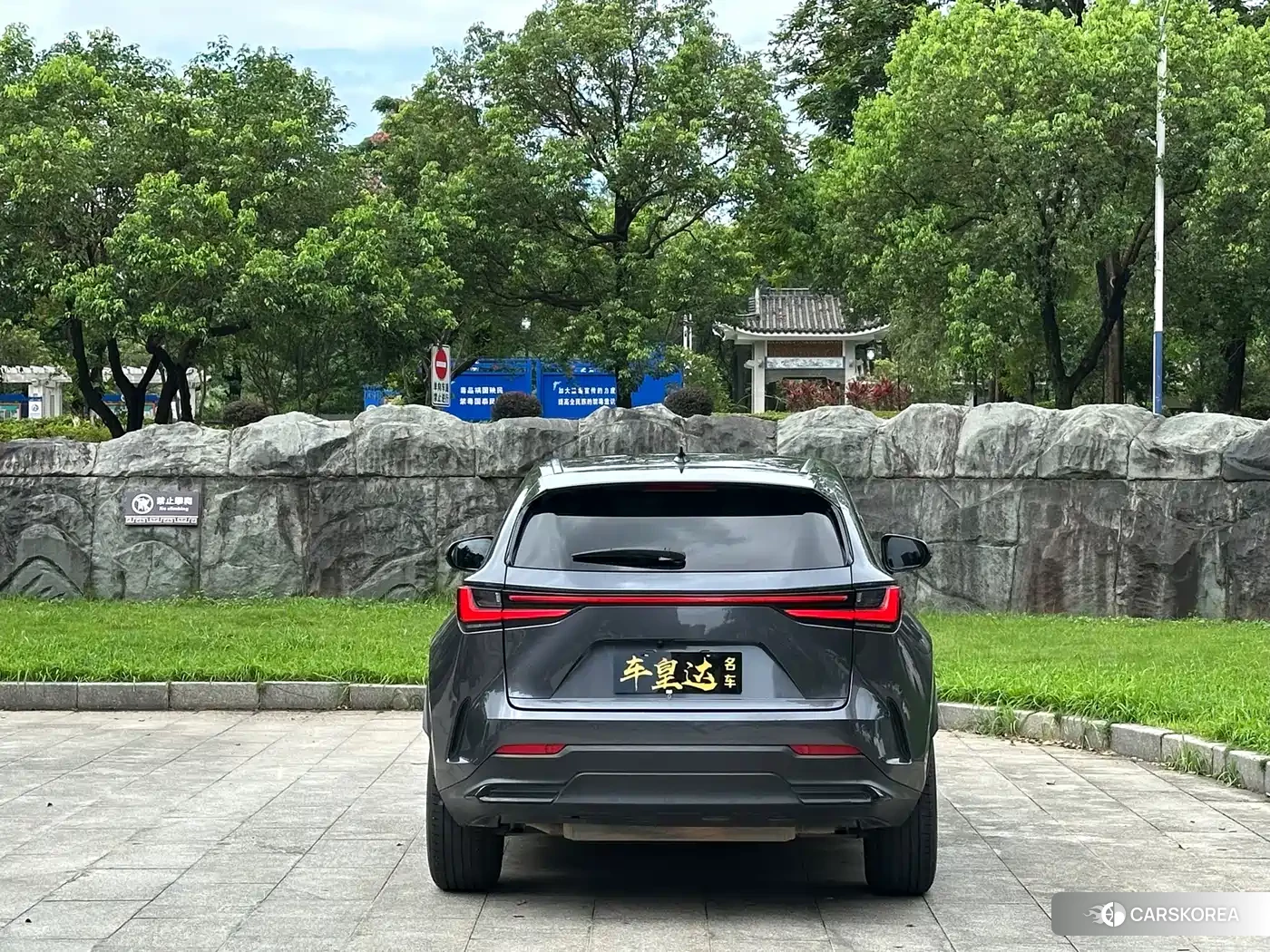 Lexus NX 2022 Silver/gray из Китая, фото 6