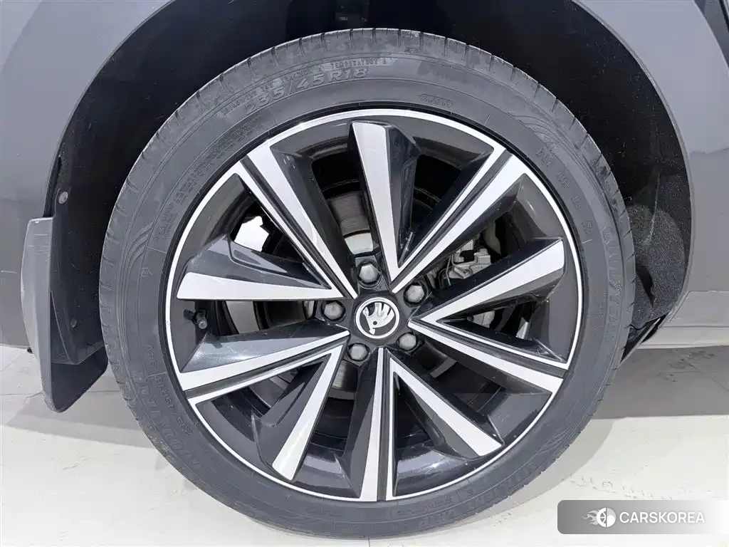 Skoda Speed pie 2023 Черный из Китая, фото 6
