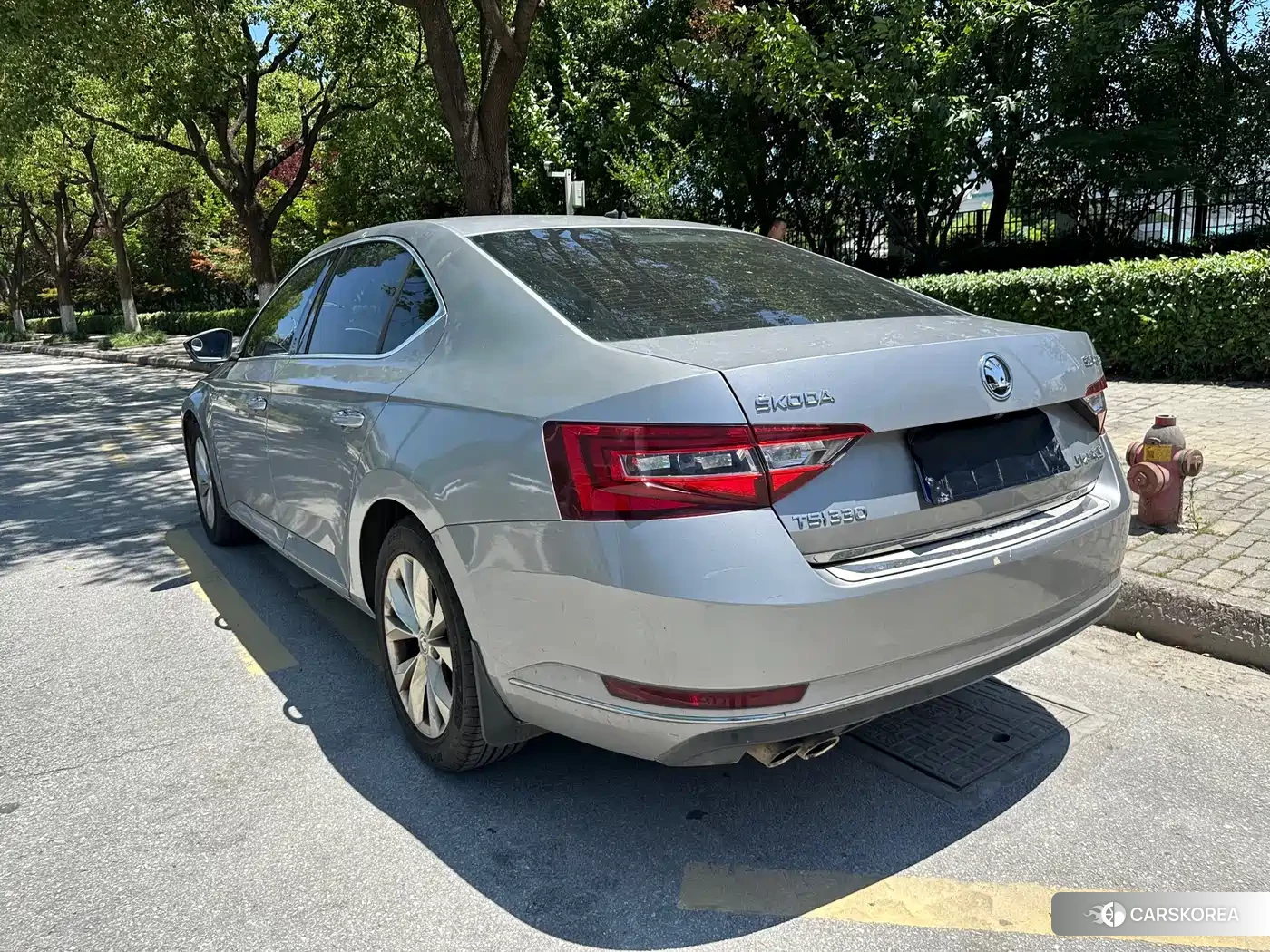 Skoda Speed pie 2018 Silver/gray из Китая, фото 6
