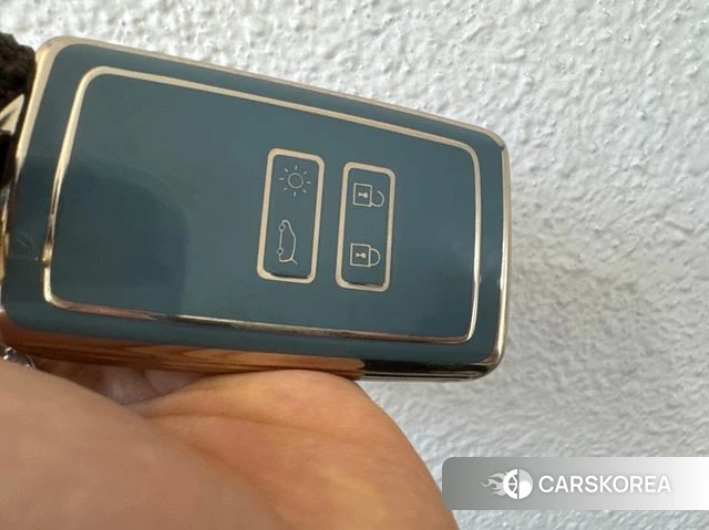 Renault Korea (Samsung) The New QM6 2019 Серый из Кореи, фото 6