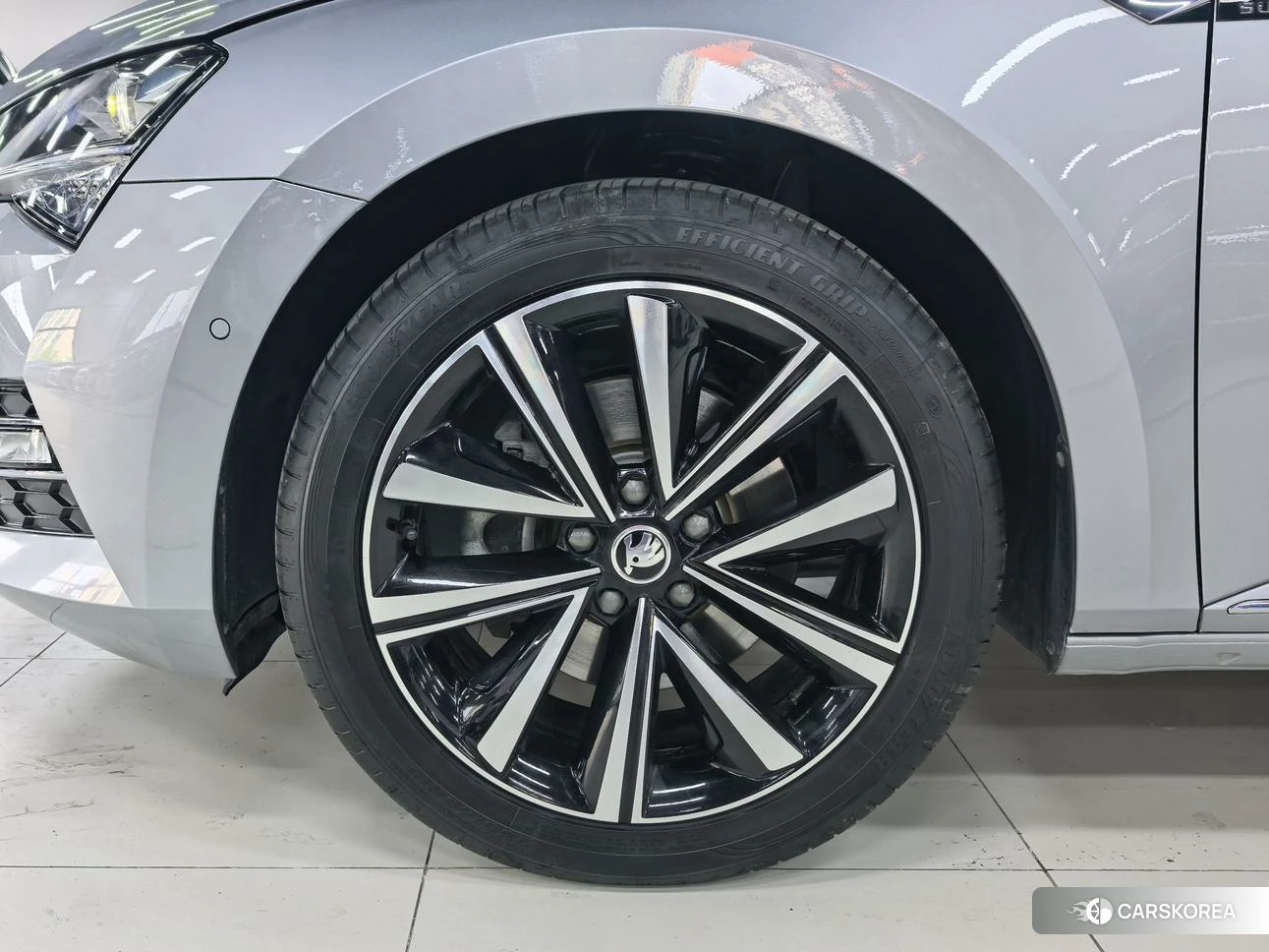 Skoda Speed pie 2023 Серебристо-серый из Китая, фото 6
