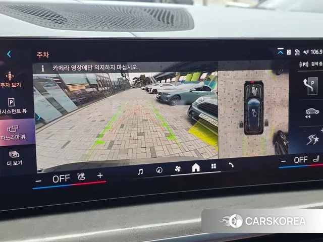 BMW X7 (G07) 2023 Цвет тростника из Кореи, фото 6