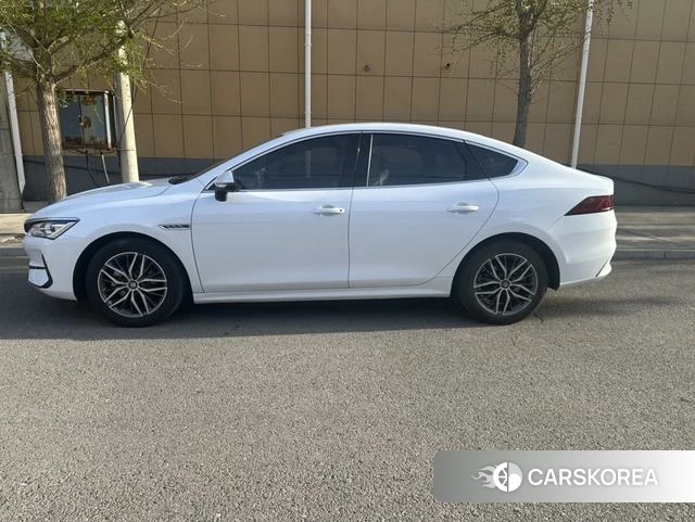 BYD Qin PLUS EV 2023 Белый из Китая, фото 6