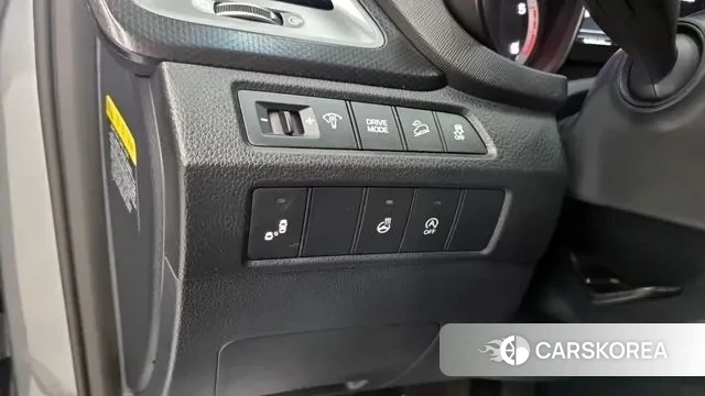 Hyundai Santa Fe The Prime 2018 Цвет тростника из Кореи, фото 6