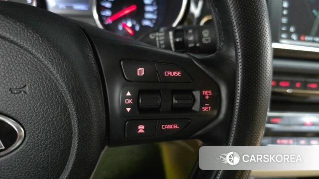 Kia The New Carnival 2018 Белый из Кореи, фото 6