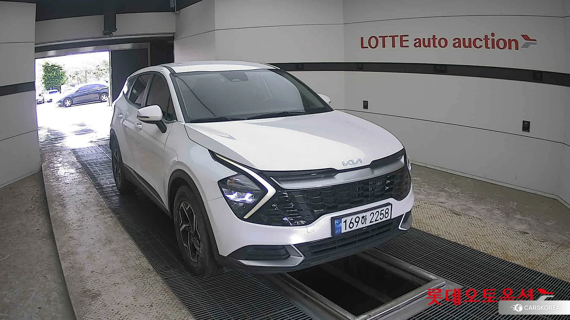Kia Sportage 2022 Snow White Pearl (optional) из Кореи, фото 6