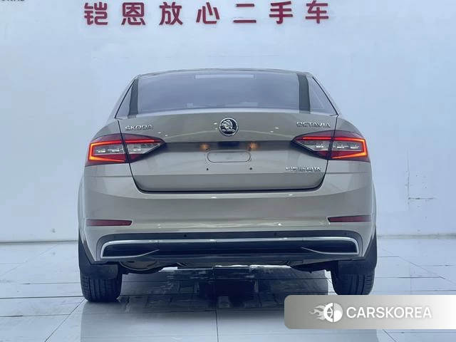 Skoda Octavia 2018 Шампань из Китая, фото 6