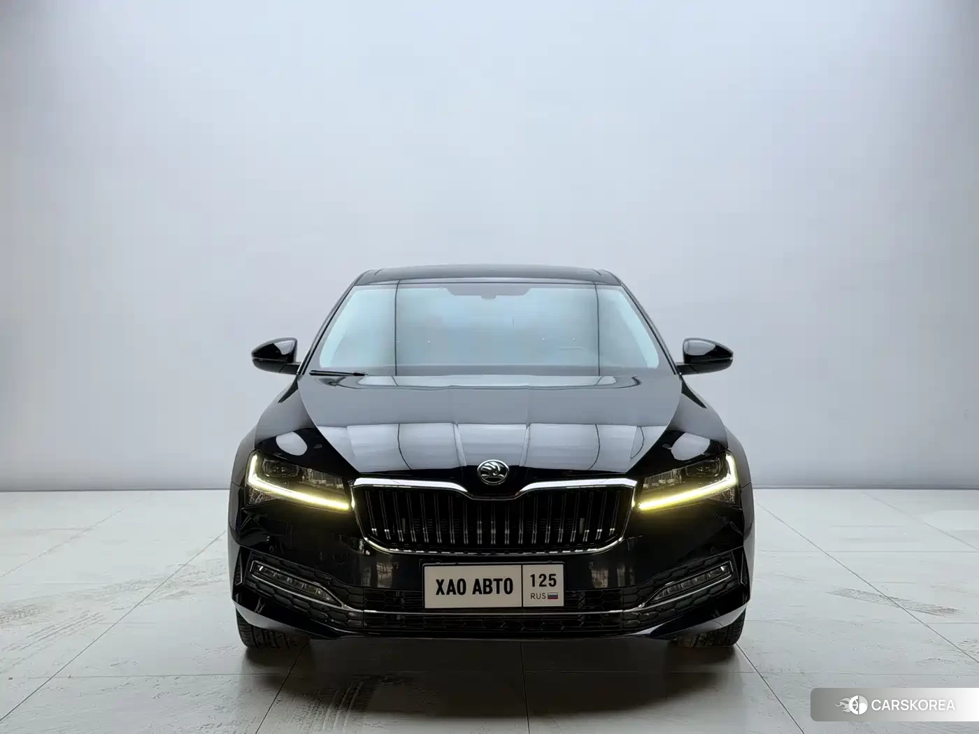 Skoda Speed pie 2023 Черный из Китая, фото 6