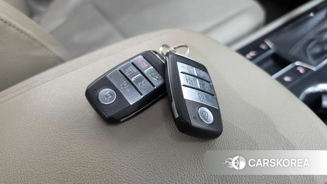 Kia The New Carnival 2018 Белый из Кореи, фото 6